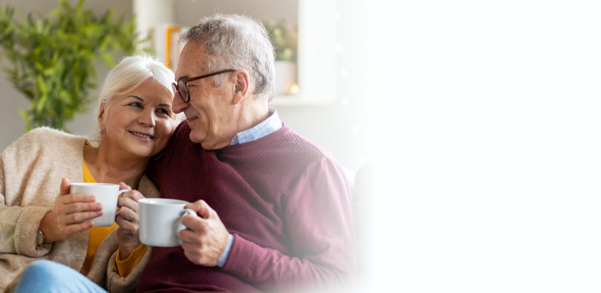 Portrait of a happy elderly couple relaxing together on the sofa at home